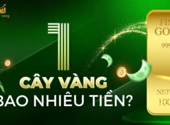 mot-cay-vang-bao-nhieu-tien-2