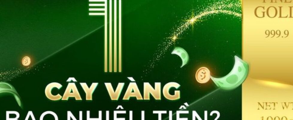 Giới thiệu về nhà cái DT68 – điểm đến lý tưởng cho cược