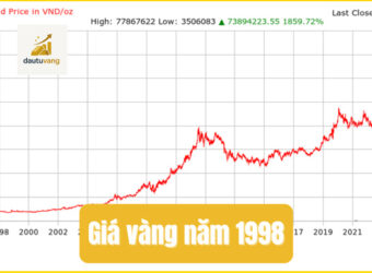 nam-1998-vang-bao-nhieu-mot-chi